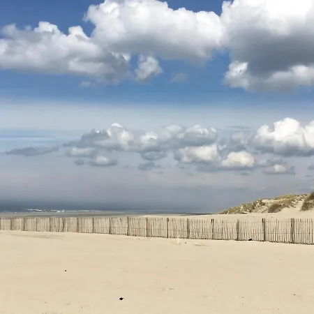 Les D 'opale * Berck